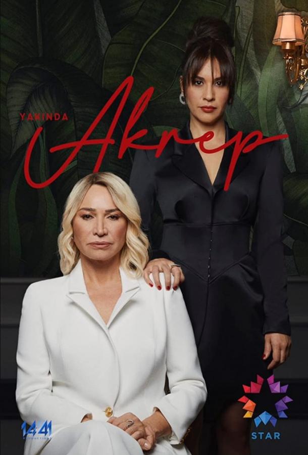 Сериал Скорпион (2020)